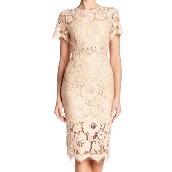 chinese dress ladies Rose Lace Eyelet Detail Short Sleeve Midi Dress  SSYS